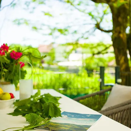 Grünraum Apartment *